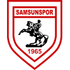 SAMSUNSPOR